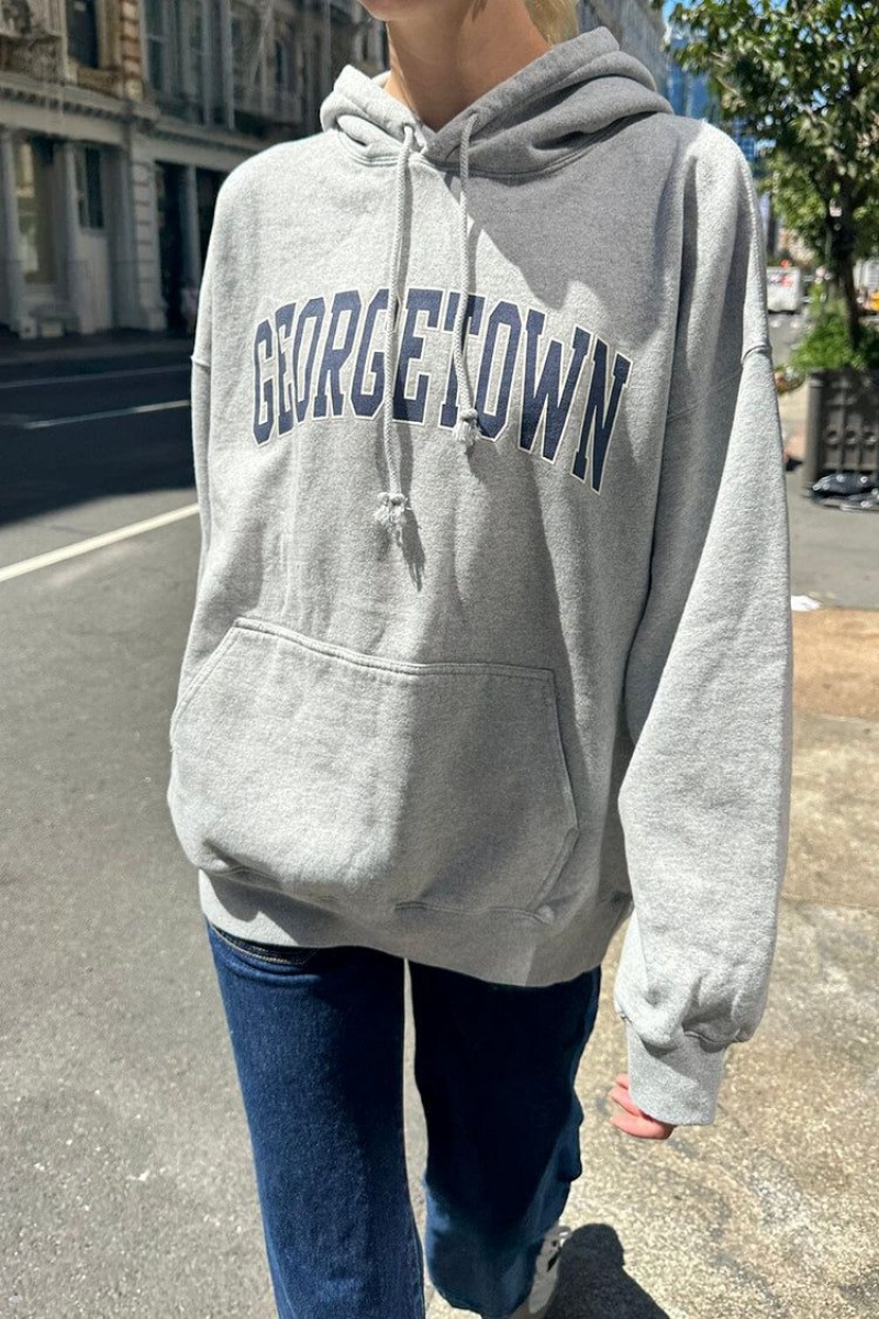 Sweat a Capuche Brandy Melville Christy Georgetown Grise | VTB-34104264